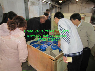 Great Valve(YanTai)Co.,Ltd.