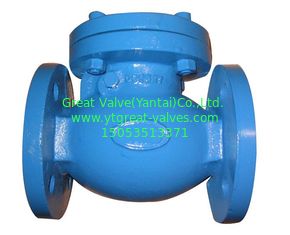 BS check valve flanged ends