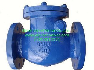 DIN check valve flanged ends