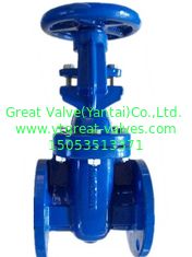 (BS) Cast Iron Gate Valve