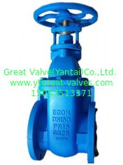 (BS) Cast Iron Gate Valve Flanged Ends
