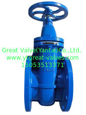 (DIN) Cast Iron Gate Valve Flanged Ends