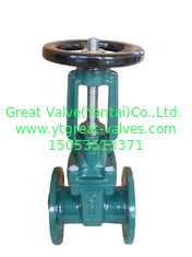 (BS) Cast Iron Resilient Gate Valve Flanged Ends