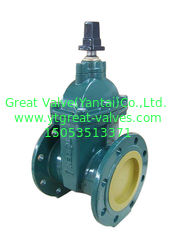 (BS) Cast Iron Resilient Gate Valve nor-rising stem Flanged Ends
