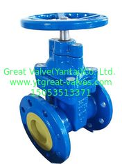 (BS) Cast Iron Resilient Gate Valve nor-rising stem