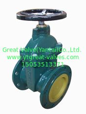 (BS) Cast Iron Gate Valve nor-rising stem