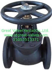 ANSI globe valve