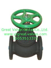 BS globe valve