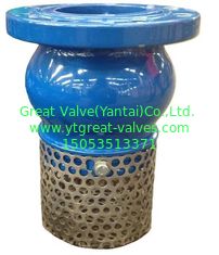 DIN foot valve