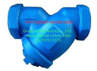 (ANSI) Cast Iron Strainer