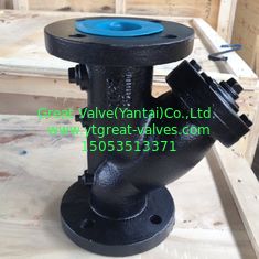 505c-f Y STRAINER FLANGED