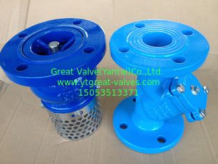 805-F DIN DUCTILE IRON Y STRAINER FLANGED ENDS