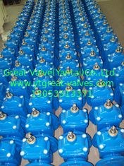 (DIN) Ductile Iron Resilient Gate Valve NRS