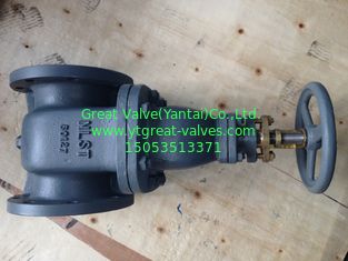 702-F (JIS) Cast Iron Gate Valve NRS