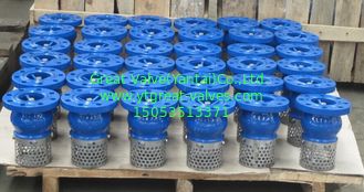 DIN foot valve