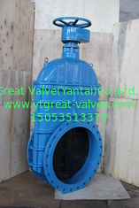 (DIN) Cast Iron Resilient Gate Valve nor-rising stem