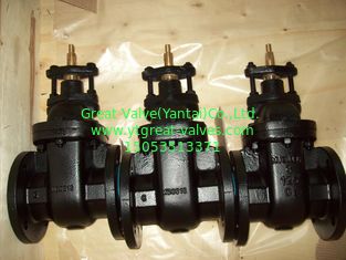 (ANSI) Cast Iron Gate Valve