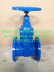 516-F AWWA Resilient Gate Valve