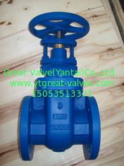 (BS) Cast Iron Gate Valve Flanged Ends