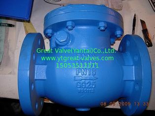 BS check valve flanged ends