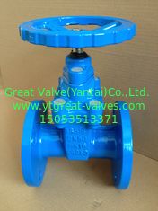 (BS) Cast Iron Resilient Gate Valve nor-rising stem Flanged Ends