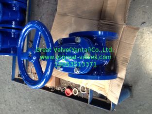 (DIN) Cast Iron Gate Valve Flanged Ends