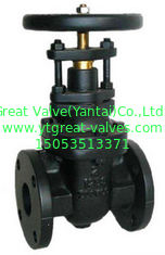 Metal GATE VALVE NRS