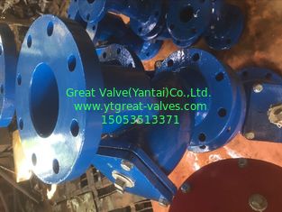 ANSI  Y STRAINER FLANGED ENDS