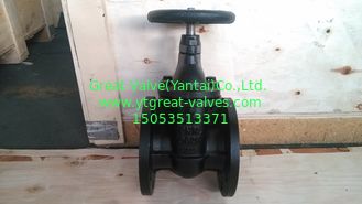 DIN METAL GATE VALVE F4
