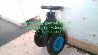 DIN METAL GATE VALVE F4