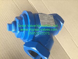 ANSI y strainer threaded ends