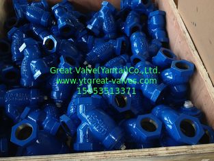 ANSI y strainer threaded ends
