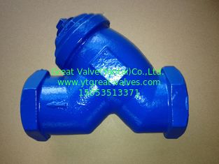 ANSI y strainer threaded ends