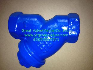 ANSI y strainer threaded ends