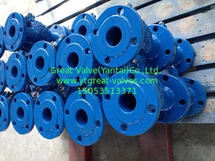 BS y strainer flanged ends