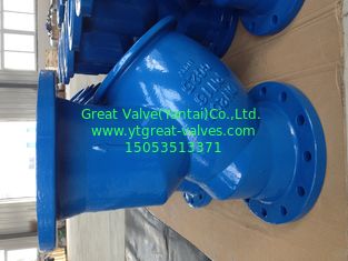 BS y strainer flanged ends
