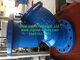 BS y strainer flanged ends