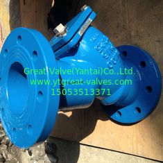 BS y strainer flanged ends