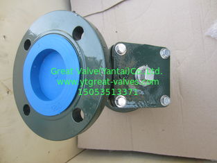 ANSI y strainer flanged ends
