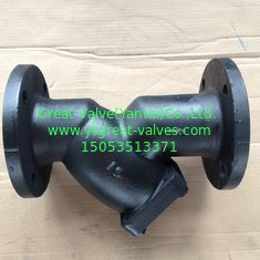 ANSI y strainer flanged