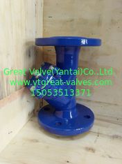 DIN y strainer flanged ends