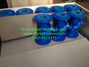 DIN y strainer flanged ends