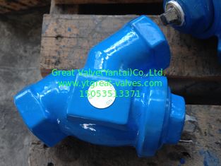 BSP(T)  y strainer threaded ends