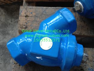BSP(T)  y strainer threaded ends