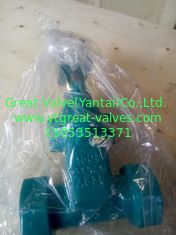 ANSI gate valve threaded ends