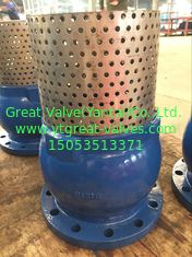 ANSI foot valve flanged ends