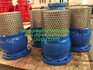 ANSI foot valve flanged ends