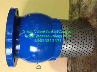ANSI foot valve flanged ends