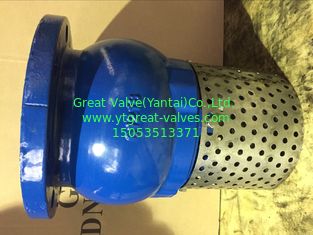 ANSI foot valve flanged ends