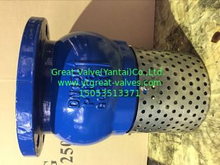 ANSI foot valve flanged ends
